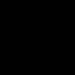 Meet your Posher, Shelby